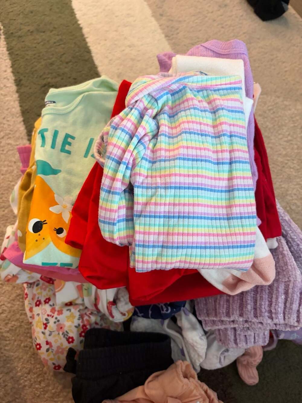 Toddler Girl Assorted Clothing Bundle 18-24 Months